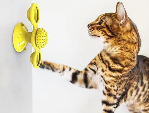 Universal - Jouet interactif pour chat Moulin à vent Nourriture pour chat  Produit de fuite pour animal de compagnie Structure de jeu Tour Ventouse  Mangeur Jouet intelligent drôle pour chien