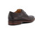 Dune London Sinclairs Derby Shoes - M-0277509520179514