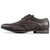 Soletrader Burns Brogue Shoes - BURNSBK