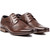 Soletrader Logan II Brogue Shoes - LOGBG2BN