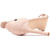 Refresh Open Toe Shoes - R79957ND