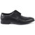 Lambretta Langham Brogue Shoes - M-LAM0042