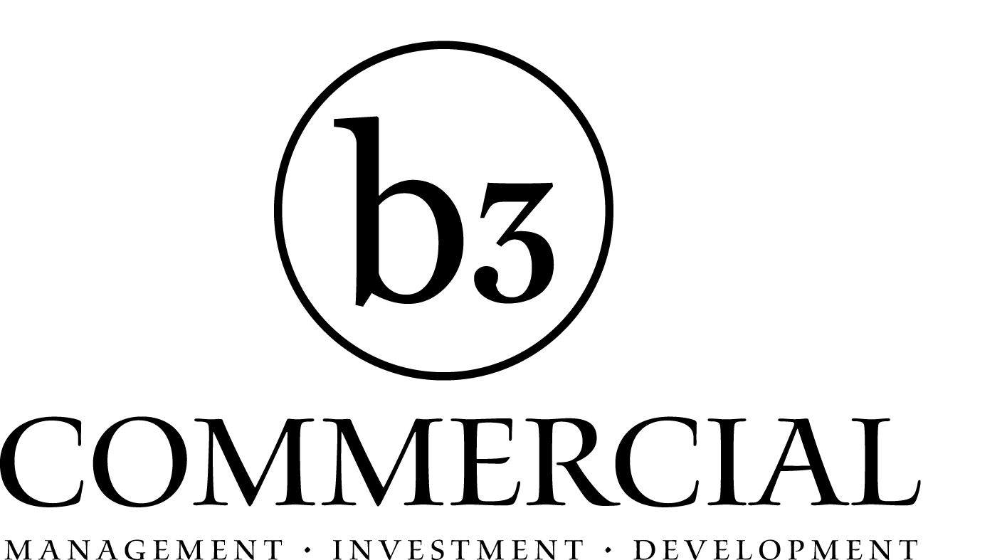 b3-logo.png
