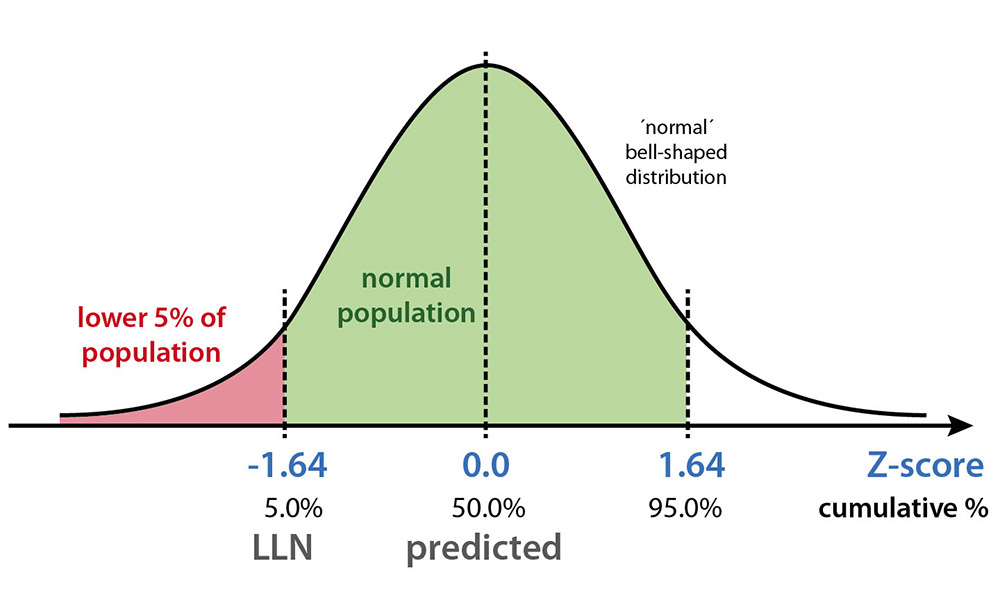 ndd EasyOne Air spirometer Shop Henan Medical