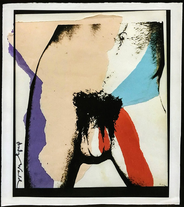 UNTITLED (TORSO) BY ANDY WARHOL
