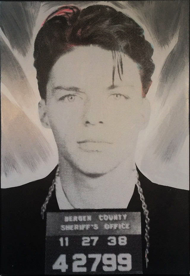 MUG SHOT GRAY STATE BY STEVE KAUFMAN