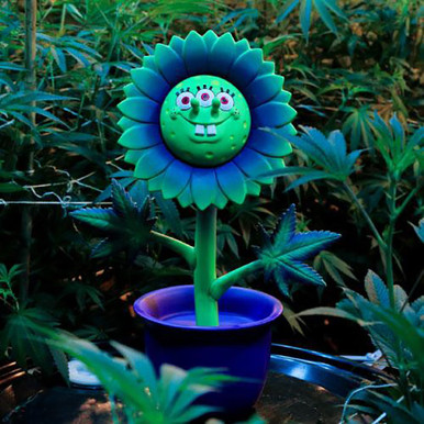 HAZE BOB HAPPY PLANT ron english 　スポンジボブ HAZE BOB BY RON ENGLISH - GRUN ART