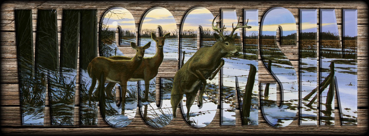 "WISCONSIN" Signs
