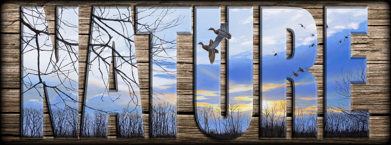 "NATURE" Signs
