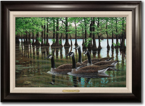 "Summer among the Cypress" Framed Canvas Print