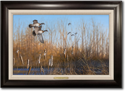 "Return Among the Cattails" Framed Canvas Print