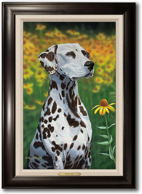 "Dalmation - Syren" - Framed Canvas