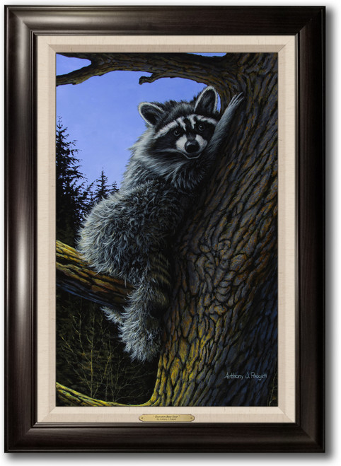 "Raccoon Rest Stop" - Framed Canvas