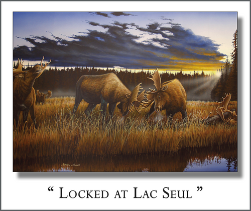 Locked at Lac Seul - Quick-Change Art Panel