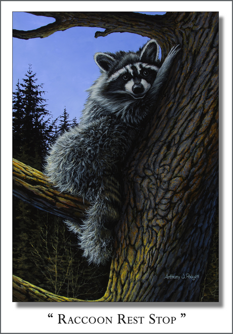 Raccoon Rest Stop - Quick-Change Art Panel - Vertical