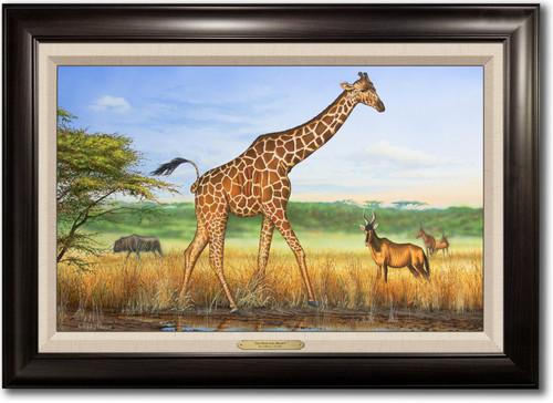 "The High and Mighty" Framed Canvas Print