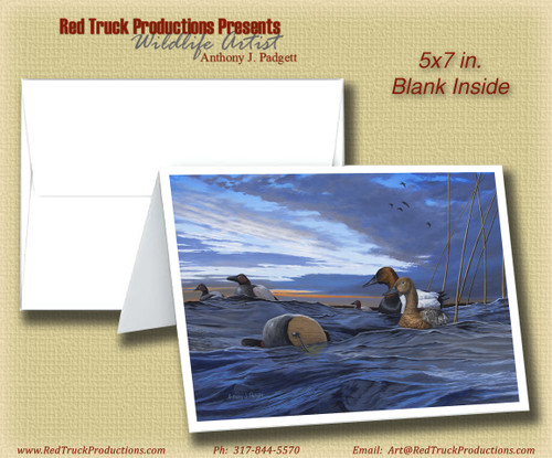 5x7 Notecard- "After the Storm"