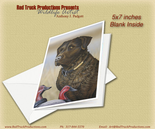 5x7 Notecard- "Copper" - Chesapeake Bay Retriever