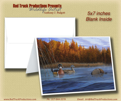 5x7 Notecard- "Curious Approach"