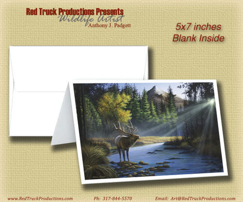 5x7 Notecard- "Morning Call - Elk"