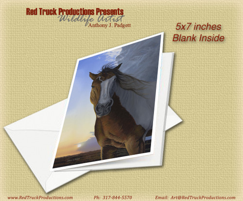 5x7 Notecard- "Storm Front"