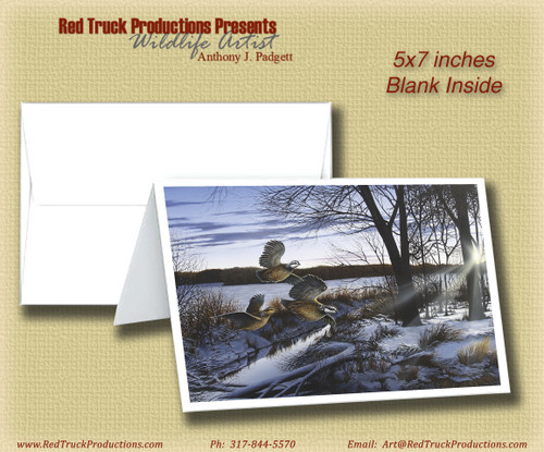 5x7 Notecard- "Winter Flush"