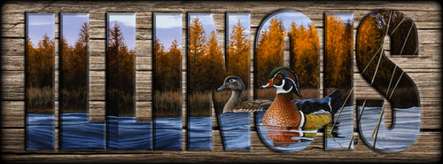 ILLINOIS - Sign - Autumn Front - Wood Ducks