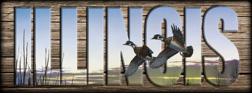 ILLINOIS - Sign - Wood Ducks in Flight