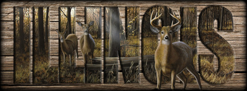 ILLINOIS - Sign - Busted - Deer