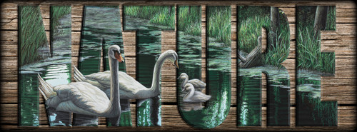 NATURE Sign - A Day Out - Swans