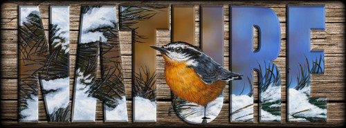 NATURE Sign - Winter Nuthatch
