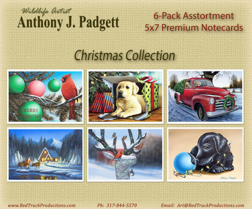 6 Pk - 5x7 Notecards- Christmas Collection