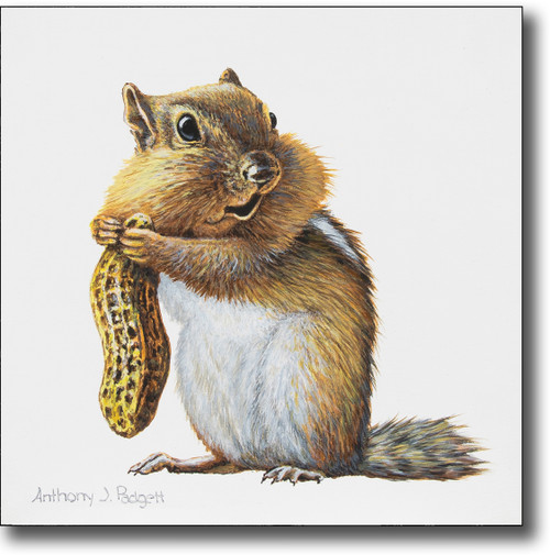 Small Canvas Print - Chipmunk II