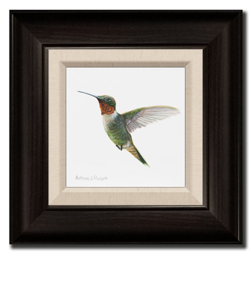 Small Canvas Print - Hummingbird