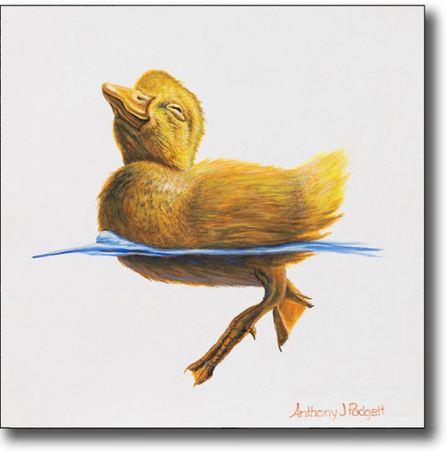 Small Canvas Print - "First Dip" - Duckling