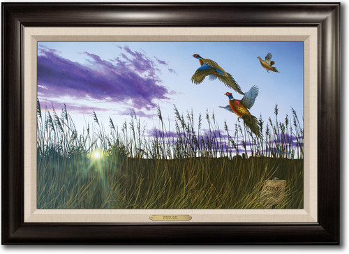  "Morning Glory" Framed Canvas Print