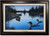 "Campfire Loons" Framed Canvas Print
