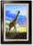 "On the Savanna" - Giraffe - Framed Canvas