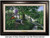 "New Beginnings" - Framed Canvas w/ Optional Mailbox Personalization