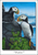 Puffins - Quick-Change Art Panel - Vertical