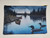 Accessory Bag-  Evening Loons