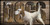 "DOGS" Sign - English Flush