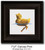 Small Canvas Print - "First Dip" - Duckling