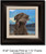 Small Canvas Print - Chessie