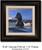 Small Canvas Print - Ring-necked Duck