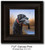 Small Canvas Print - Morning Conquest - Black Lab