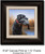 Small Canvas Print - Morning Conquest - Black Lab