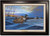 "At Storm's Retreat" - Mallards - Framed Canvas Print