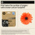 HP 937e EvoMore Black Original Ink Cartridge