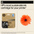 HP 937e EvoMore Black Original Ink Cartridge